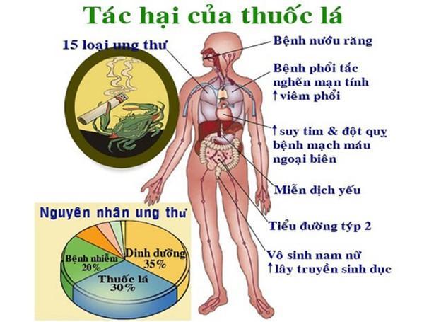 Khói thuốc lá gây ra hàng loạt các bệnh nguy hiểm